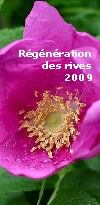 Brochure 2009