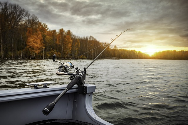 fishing boat, fishing rod, fishing, lake, hobby, boat, forest, woods, nature, water, river, sunset, outdoors, skyscape, trees, fishing, fishing, fishing, fishing, fishing